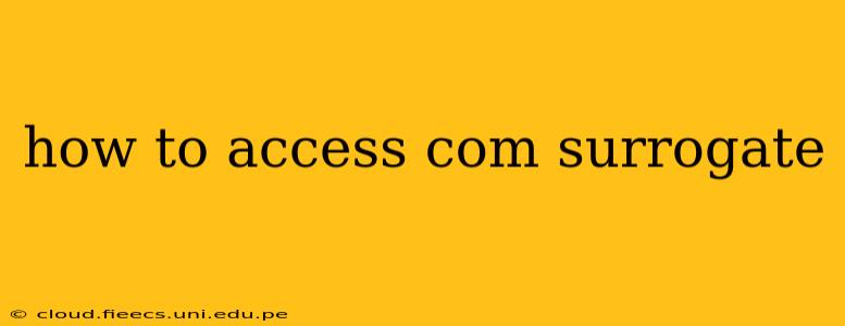 how to access com surrogate