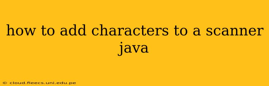 how to add characters to a scanner java