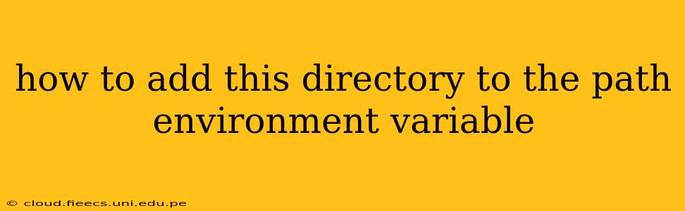 how to add this directory to the path environment variable