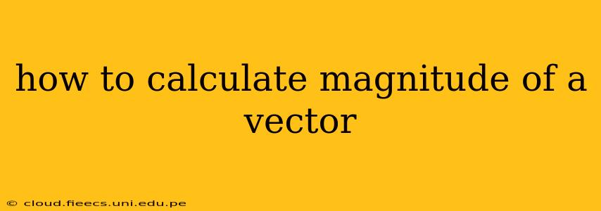 how to calculate magnitude of a vector