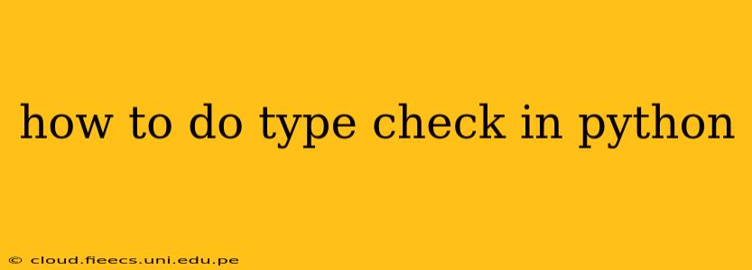 how to do type check in python
