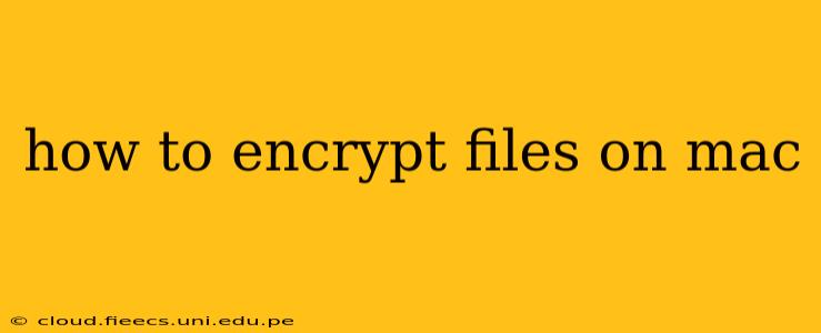 how to encrypt files on mac