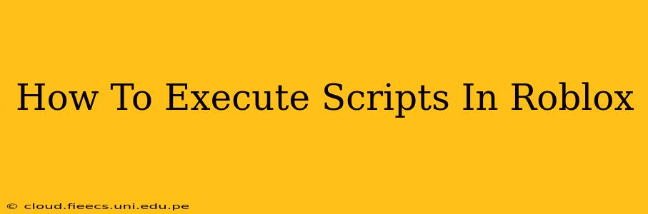 How To Execute Scripts In Roblox