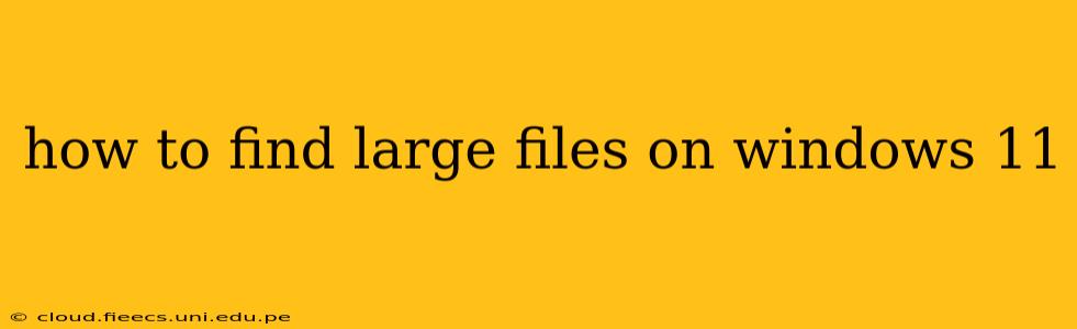 how to find large files on windows 11