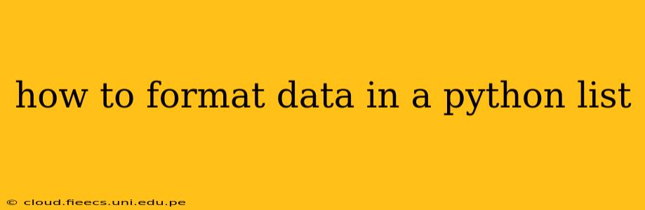 how to format data in a python list