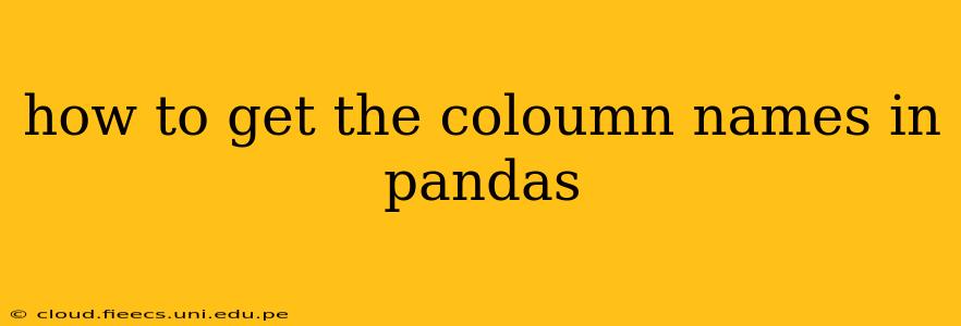 how to get the coloumn names in pandas