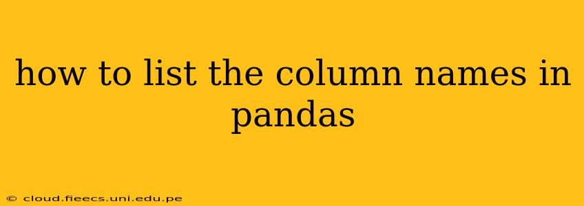 how to list the column names in pandas