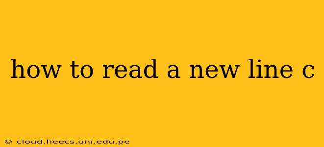 how to read a new line c
