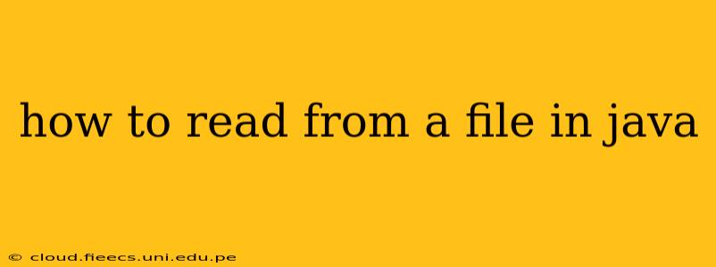 how to read from a file in java