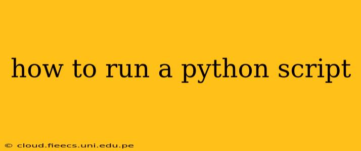 how to run a python script