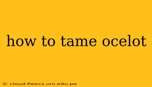 how to tame ocelot