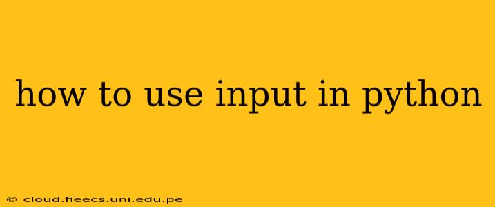 how to use input in python