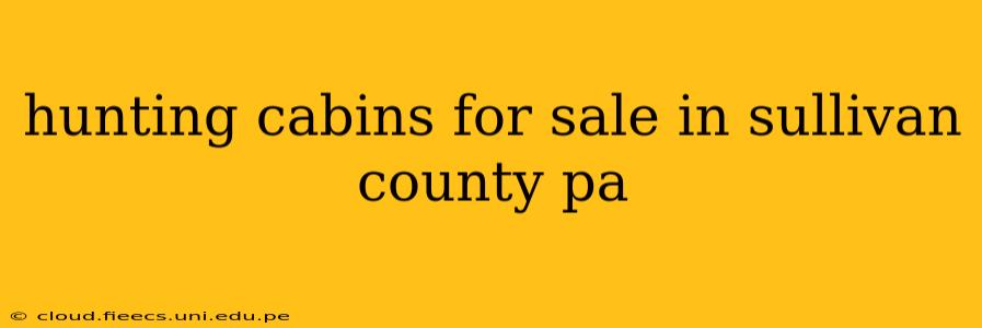 hunting cabins for sale in sullivan county pa
