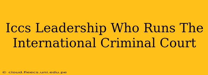 Iccs Leadership Who Runs The International Criminal Court