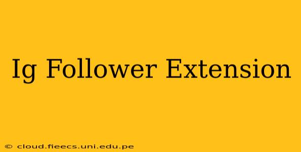 Ig Follower Extension