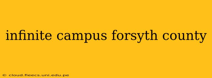 infinite campus forsyth county