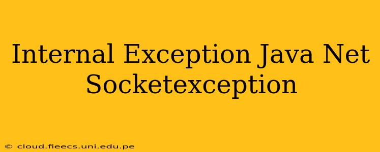 Internal Exception Java Net Socketexception