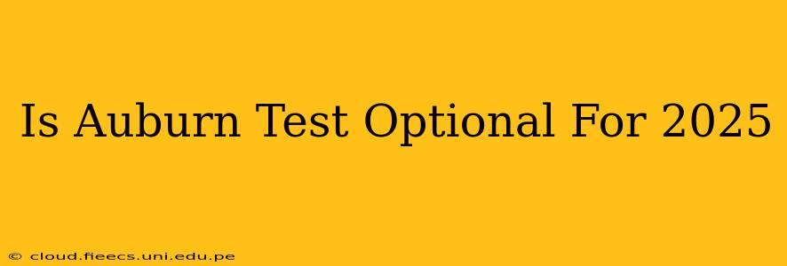 Is Auburn Test Optional For 2025