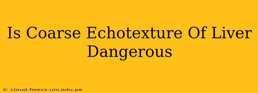 Is Coarse Echotexture Of Liver Dangerous