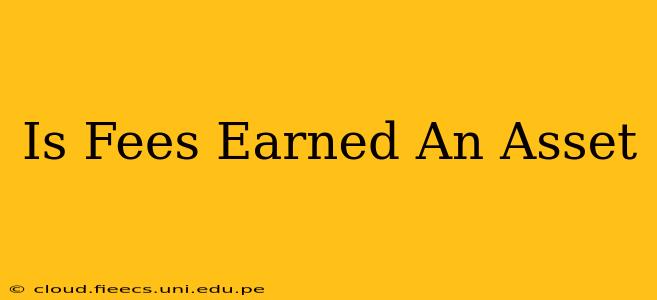 Is Fees Earned An Asset