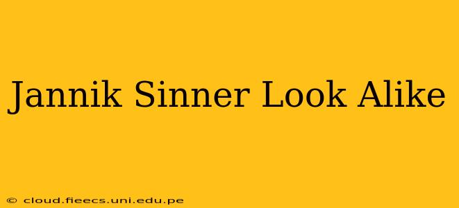 Jannik Sinner Look Alike