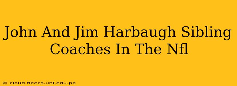 John And Jim Harbaugh Sibling Coaches In The Nfl