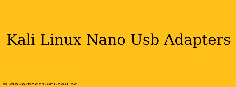 Kali Linux Nano Usb Adapters