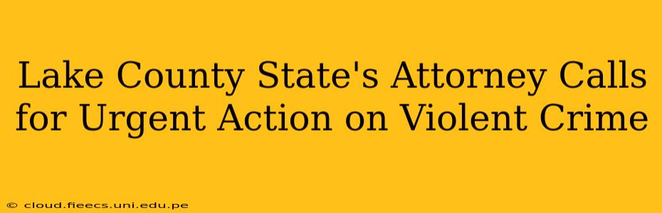 Lake County State's Attorney Calls for Urgent Action on Violent Crime