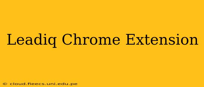 Leadiq Chrome Extension