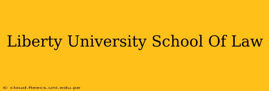 Liberty University School Of Law