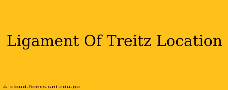 Ligament Of Treitz Location