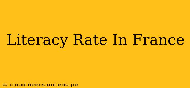Literacy Rate In France