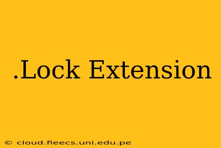 .Lock Extension