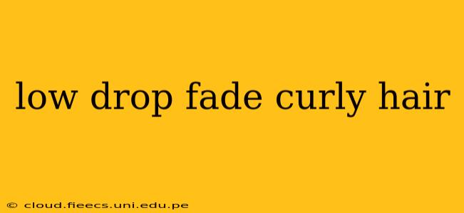 low drop fade curly hair