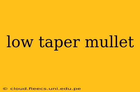 low taper mullet