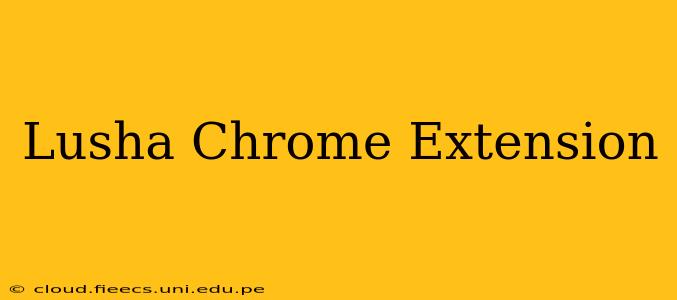 Lusha Chrome Extension
