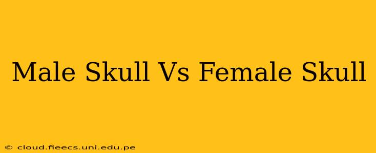 Male Skull Vs Female Skull