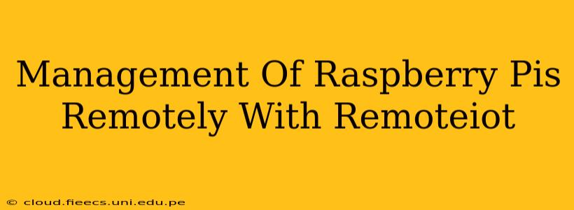Management Of Raspberry Pis Remotely With Remoteiot