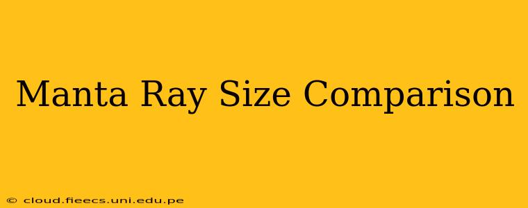 Manta Ray Size Comparison