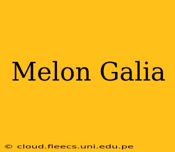 Melon Galia