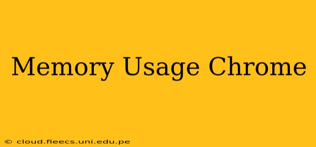 Memory Usage Chrome