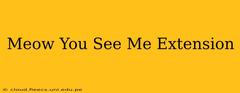 Meow You See Me Extension