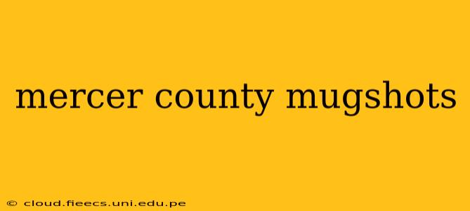 mercer county mugshots