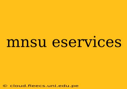 mnsu eservices