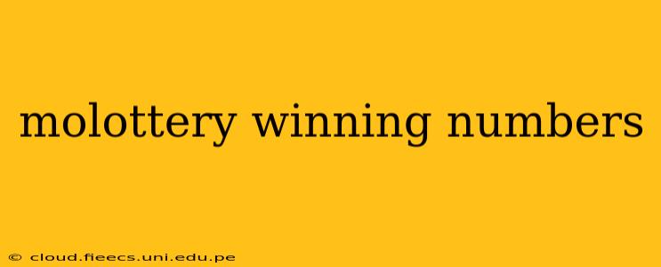 molottery winning numbers