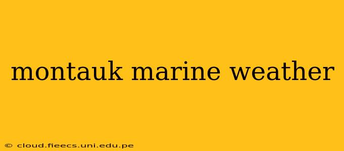 montauk marine weather