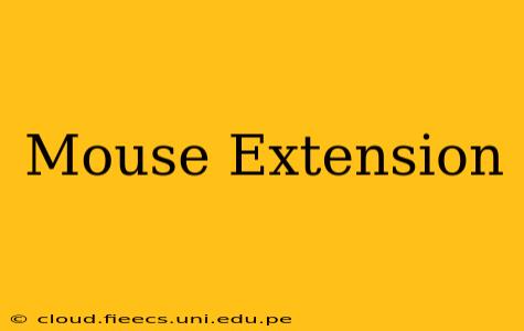Mouse Extension