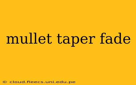 mullet taper fade