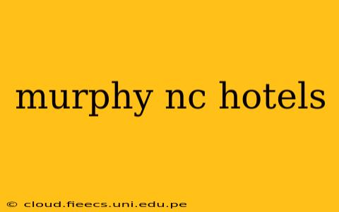 murphy nc hotels