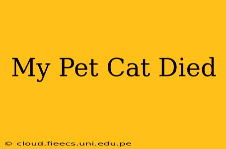 My Pet Cat Died